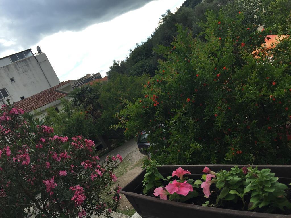 Apartments Ant บุดวา ภายนอก รูปภาพ